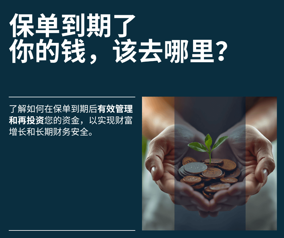 文章