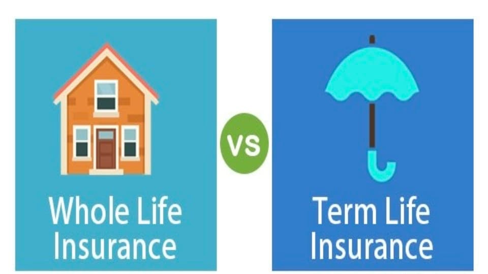 定期寿险 vs 终身寿险:该选择哪种?Term Life vs Whole Life Insurance: Which one should you choose?