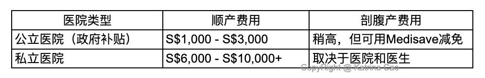 新加坡医院分娩费用.png