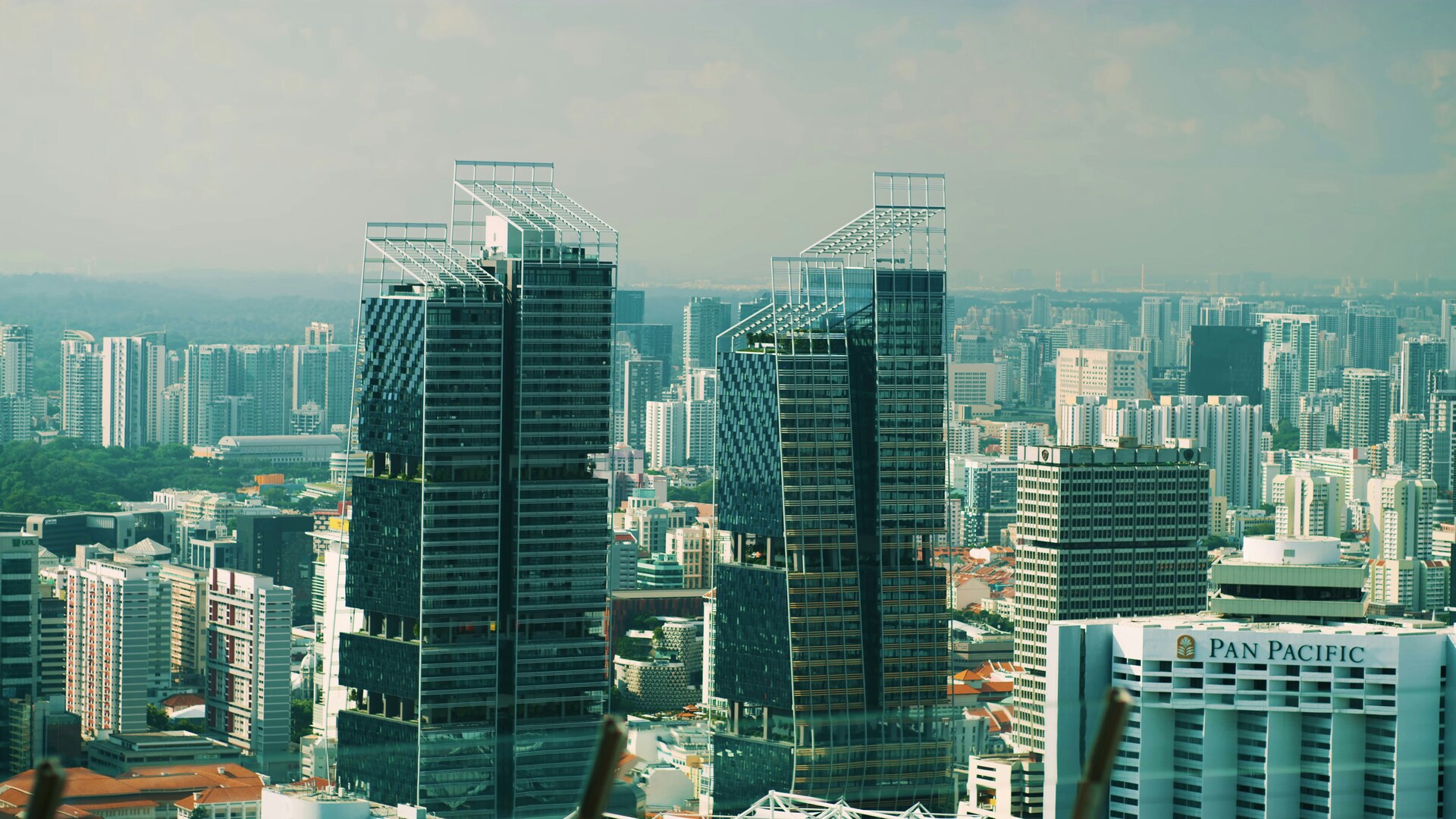 company insurance singapore.jpg