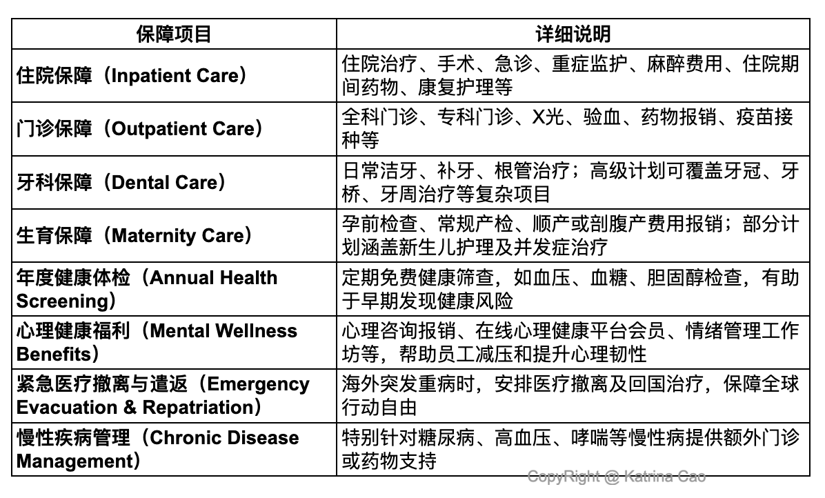 保障项目团险.png